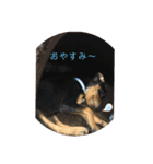 ミニピン癒しスタンプ2（個別スタンプ：6）
