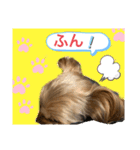 かわいい！ペロリンスタンプ第2弾！（個別スタンプ：3）