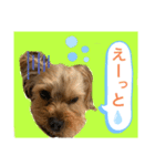 かわいい！ペロリンスタンプ第2弾！（個別スタンプ：4）