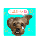 かわいい！ペロリンスタンプ第2弾！（個別スタンプ：8）