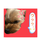 かわいい！ペロリンスタンプ第2弾！（個別スタンプ：10）