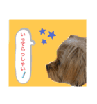 かわいい！ペロリンスタンプ第2弾！（個別スタンプ：15）