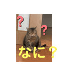 おくまはな2（個別スタンプ：7）