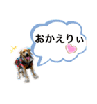 おきゅんきゅんとの日々（個別スタンプ：5）