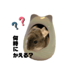 チンチラのとろろ2（個別スタンプ：5）