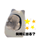 チンチラのとろろ2（個別スタンプ：6）