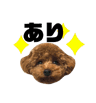 ロアロアpart2（個別スタンプ：6）