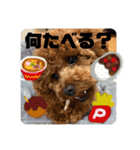 ロアロアpart2（個別スタンプ：12）