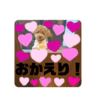ロアロアpart2（個別スタンプ：24）