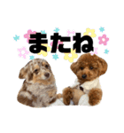 ロアロアpart2（個別スタンプ：32）