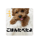 ロアロアpart2（個別スタンプ：33）