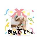 ☺︎むぎとしまじろう☺︎（個別スタンプ：11）