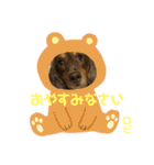 ロビたんスタンプ パートふぉ〜（個別スタンプ：3）