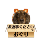 ロビたんスタンプ パートふぉ〜（個別スタンプ：19）