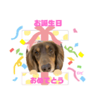 ロビたんスタンプ パートふぉ〜（個別スタンプ：21）