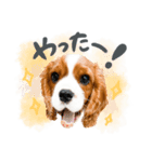 野村家のサムくん（個別スタンプ：7）