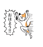 シュールウサギと仲間たち（日常使える）（個別スタンプ：21）