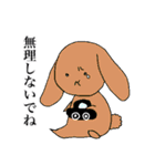 シュールウサギと仲間たち（日常使える）（個別スタンプ：39）