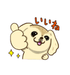 365日ペキニーズ（個別スタンプ：2）