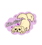 365日ペキニーズ（個別スタンプ：3）