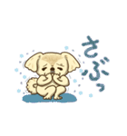 365日ペキニーズ（個別スタンプ：4）
