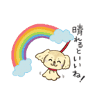 365日ペキニーズ（個別スタンプ：16）