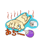 365日ペキニーズ（個別スタンプ：17）