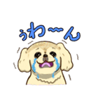 365日ペキニーズ（個別スタンプ：20）
