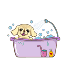 365日ペキニーズ（個別スタンプ：21）