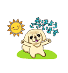 365日ペキニーズ（個別スタンプ：23）