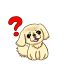 365日ペキニーズ（個別スタンプ：27）