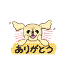 365日ペキニーズ（個別スタンプ：28）