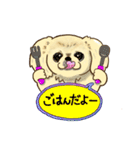 365日ペキニーズ（個別スタンプ：29）