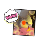 オカメのPearl（個別スタンプ：7）