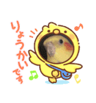 オカメのPearl（個別スタンプ：11）