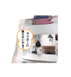 ！ハッピー娘々！（個別スタンプ：9）