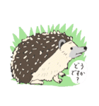 いろんな動物のスタンプ。（個別スタンプ：31）