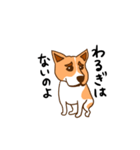 脱走犬ポン太（個別スタンプ：1）