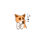 脱走犬ポン太（個別スタンプ：2）