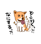 脱走犬ポン太（個別スタンプ：3）