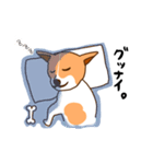 脱走犬ポン太（個別スタンプ：10）