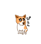 脱走犬ポン太（個別スタンプ：13）
