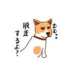 脱走犬ポン太（個別スタンプ：14）