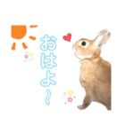 JOYちゃん♡（個別スタンプ：1）