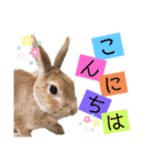 JOYちゃん♡（個別スタンプ：2）