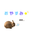 JOYちゃん♡（個別スタンプ：3）