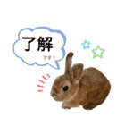 JOYちゃん♡（個別スタンプ：6）