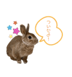 JOYちゃん♡（個別スタンプ：7）
