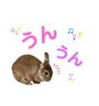 JOYちゃん♡（個別スタンプ：8）