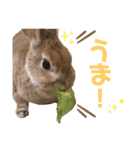 JOYちゃん♡（個別スタンプ：13）
